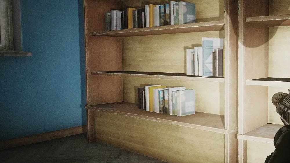 Library Bookshelf document spawn screenshot on Customs
